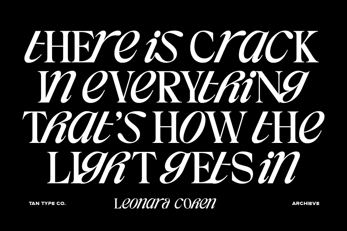 TAN - ARCHIEVE, a Serif Font by TanType (Photo 5 of 11)
