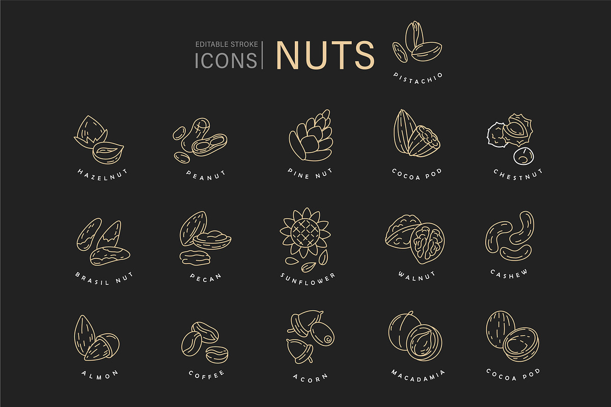 Nuts & seeds icons & logos, an Icon by Merfin (Photo 8 of 9)