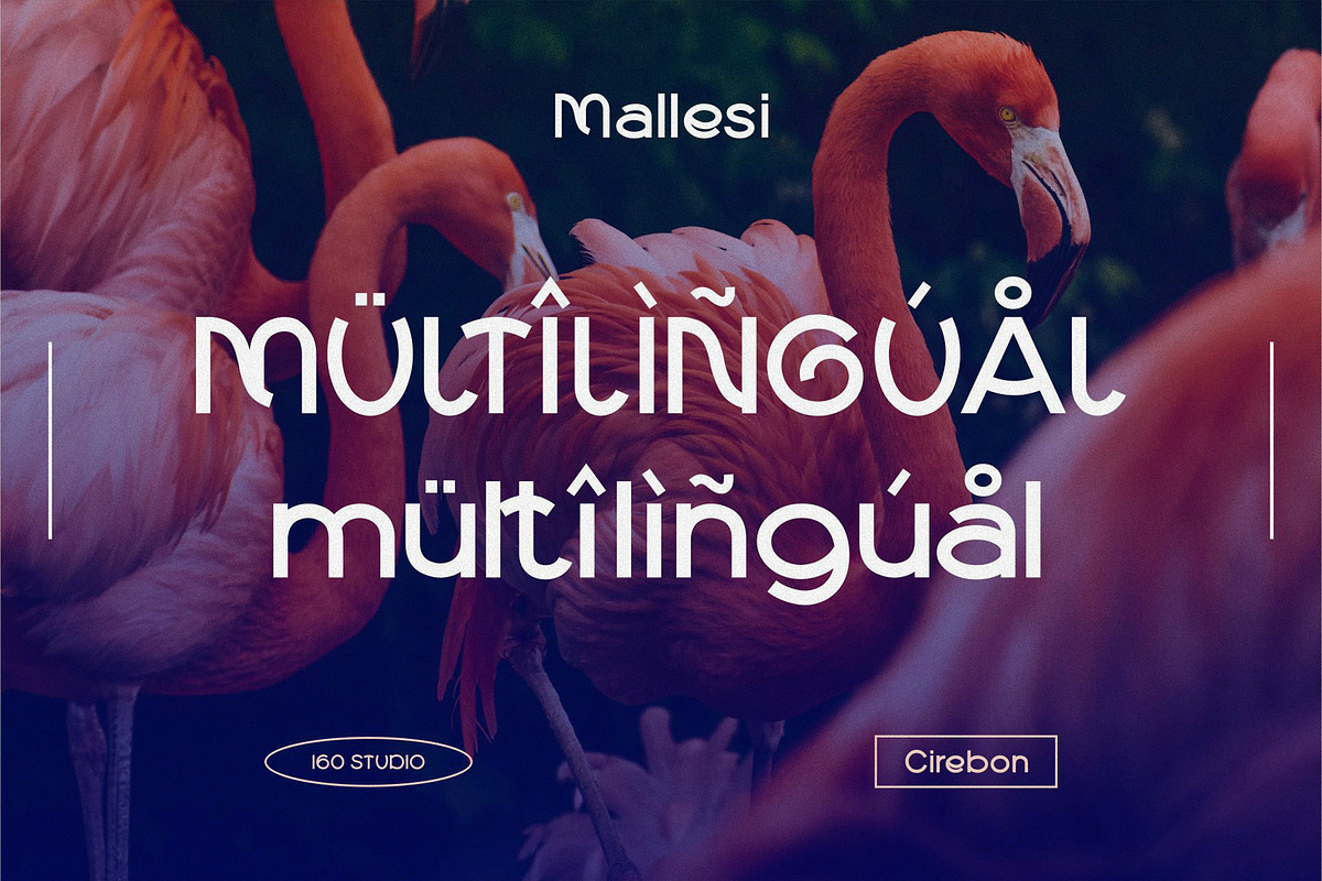 Mallesi Modern Sans, a Sans Serif Font by 160 Studio (Photo 10 of 13)