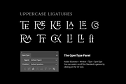 Pervinca Family, a Serif Font by Hederae Type Foundry (Thumbnail 13 of 18)