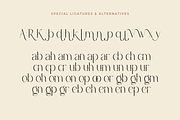 Albright | Modern Typeface Serif, a Serif Font by Youthlabs Studio (Thumbnail 13 of 15)