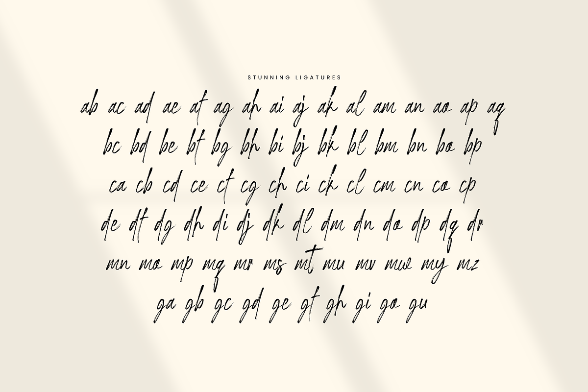 Gardiom, a Handwritten Font by Gatype (Photo 15 of 15)