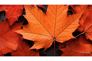 bright nature leaf plant close ai, a Nature Photo by pikepicture