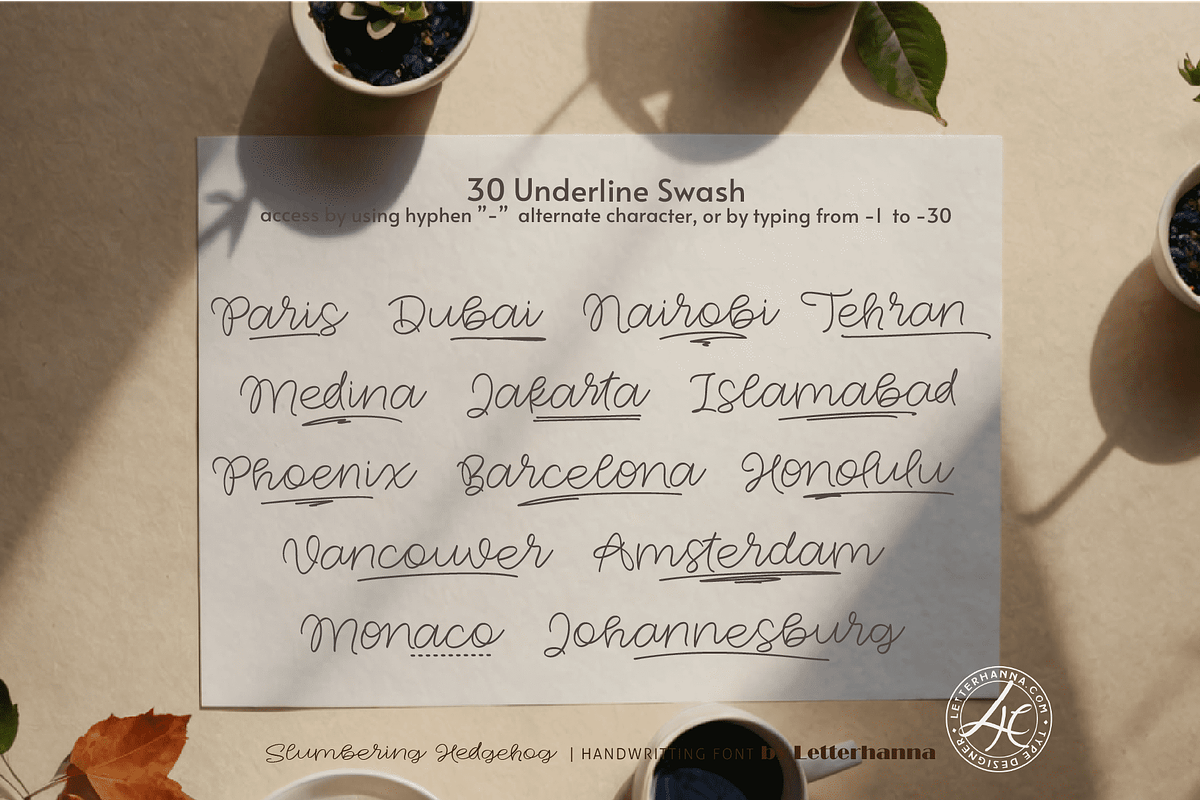 Slumbering Hedgehog Font, a Handwritten Font by Letterhanna Studio (Photo 11 of 24)