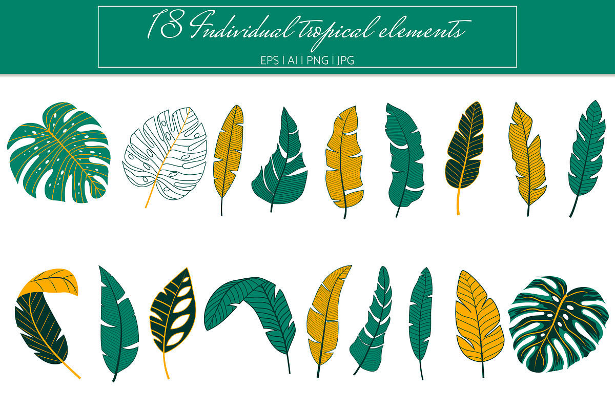 Tropical seamless patterns & leaves, a Pattern Graphic by EltaMaxArt (Photo 11 of 12)