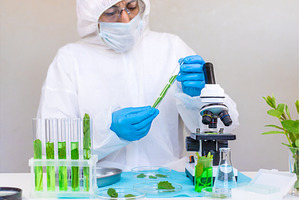 Research of plants in the laboratory, a Technology Photo by yanadjana