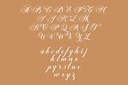 Torveil | Script Serif Typeface, a Serif Font by Artdez (Thumbnail 3 of 5)
