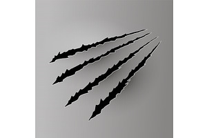 Bear or tiger claw mark, an Animal Illustration by Things for designers