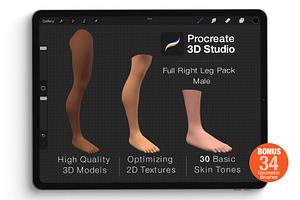 Procreate 3d Model - Right Leg male