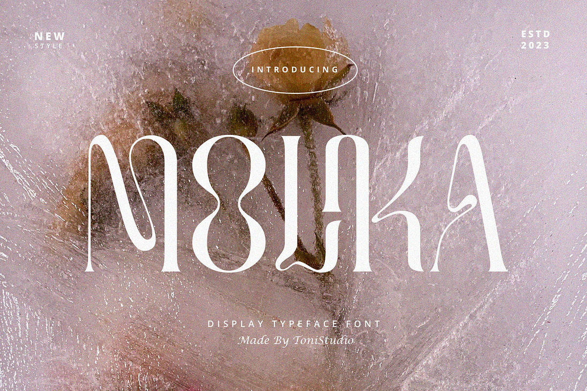 MOLIKA | Display Serif Typeface, a Serif Font by ToniStudio (Photo 1 of 12)