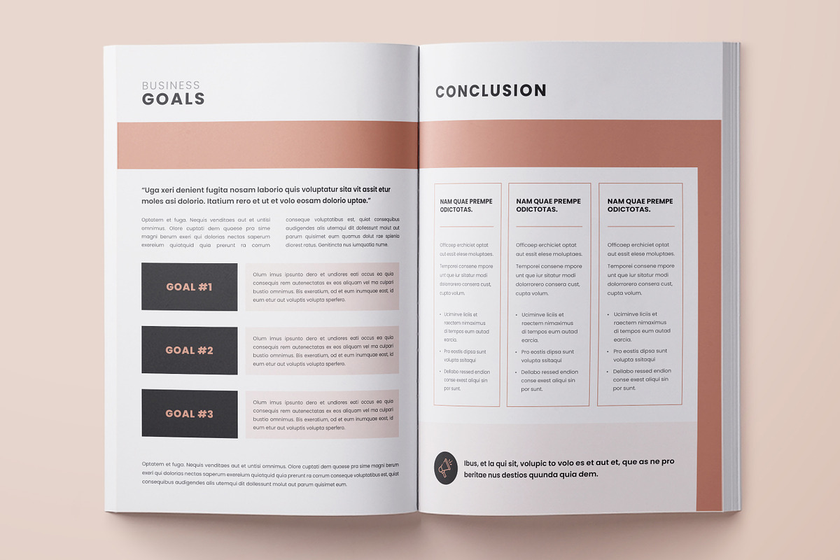 WhitePaper | Canva, Word, InDesign, a Brochure Template by DesVert (Photo 5 of 6)