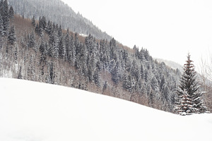 Winter Scene in Vail