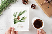 Winter Greenery Watercolor Graphics, an Illustration by studioequinox (Thumbnail 11 of 20)