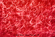 Red Crushed Paper Textures, a Texture Graphic by graphic7 (Thumbnail 9 of 21)