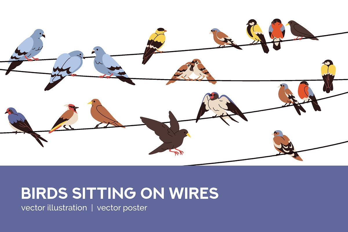 Birds sitting on wires + poster, an Animal Illustration by Good Studio (Photo 1 of 3)