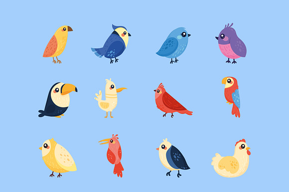 Birds Cute Illustration Set