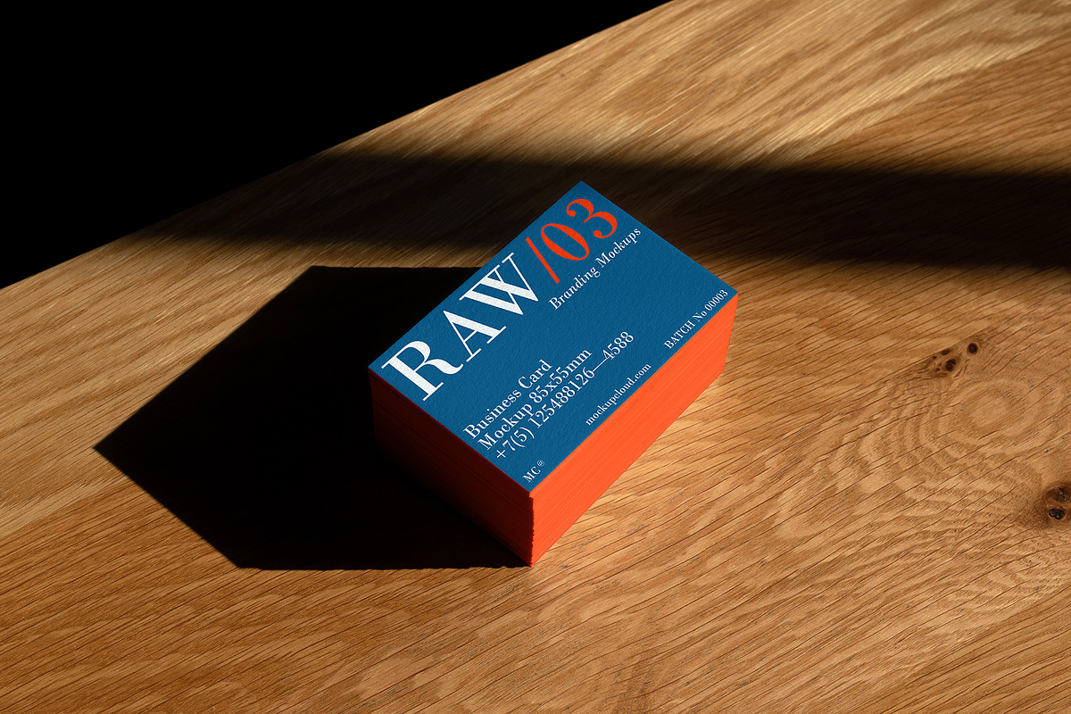 Raw Branding Mockups / Batch 00003, an Advertising Mockup by Mockup Cloud (Photo 14 of 27)
