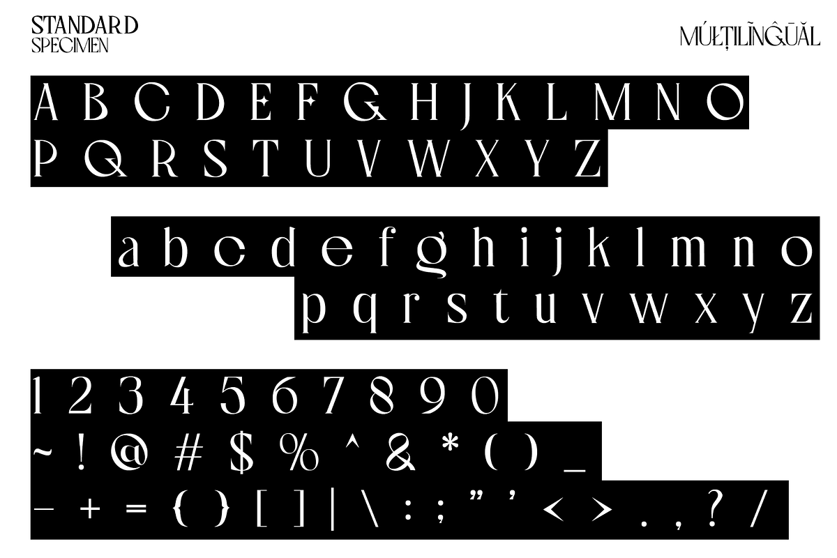 Locrian - A Chic Serif Font, a Serif Font by Mofr 24 (Photo 9 of 12)