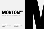 Morton (Complete Family), a Sans Serif Font by Deltatype (Thumbnail 1 of 6)