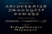 Darkline / Brush Script Font, a Script Font by Subectype Studio (Thumbnail 11 of 12)