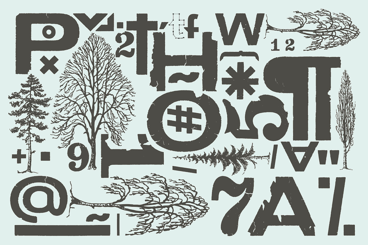 Cozza Letraset - now 9$ preview 2