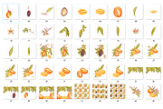 Mango clipart in botanical style, a Food Illustration by Ann Astro (Thumbnail 3 of 10)