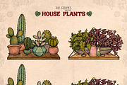 House Plants, an Object Illustration by Ink Stories (Thumbnail 18 of 23)