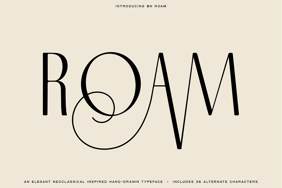 The Diverse Font Bundle, a Sans Serif Font by Bnick (Photo 11 of 34)