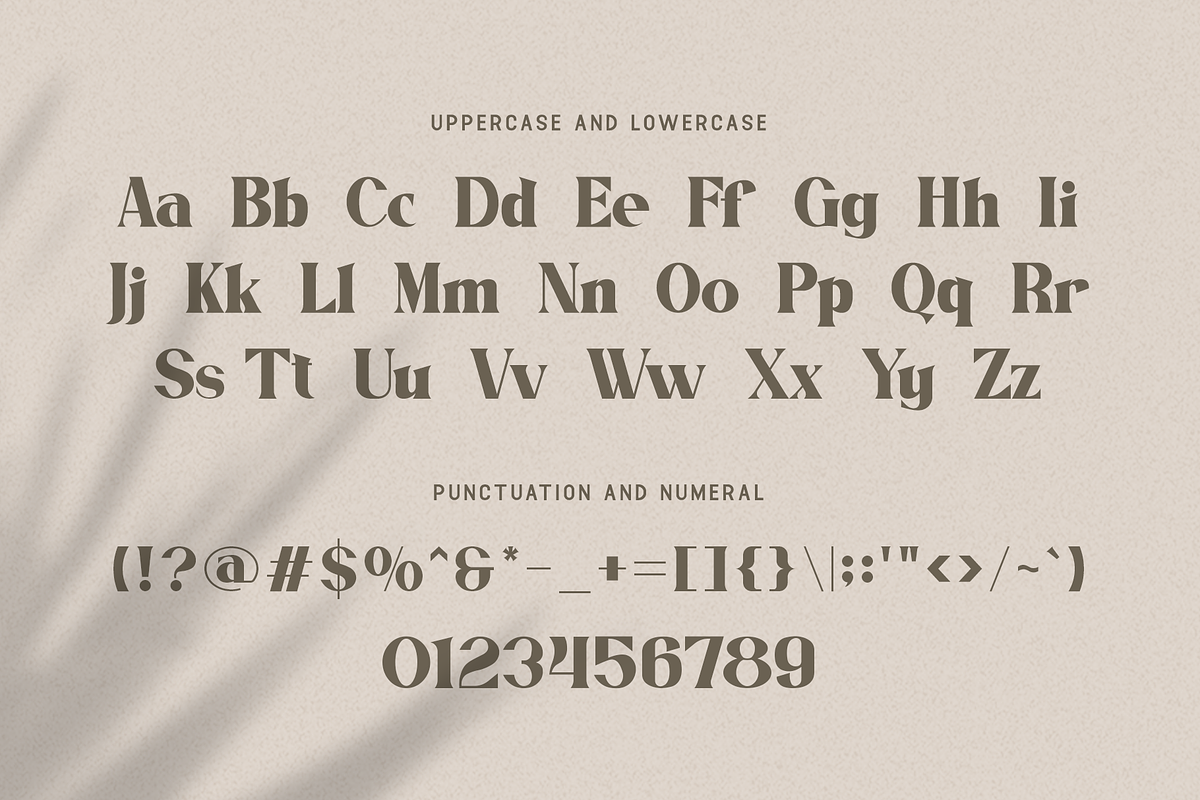 Bougenville - Modern Serif Font, a Serif Font by overlaytemplates (Photo 4 of 5)