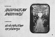 Stages Brush Fonts, a Handwritten Font by Typeparties (Thumbnail 6 of 8)