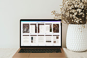 Postnatal Depletion DFY Ebook Canva, a Presentation Template by Naturopath Hub (Thumbnail 8 of 11)