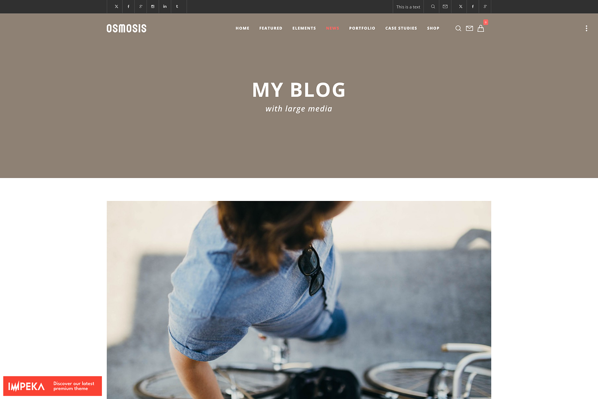Multi-Purpose WordPress Theme, a WordPress Template by UInstrument (Photo 3 of 10)