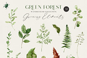 GREEN FOREST watercolor collection, an Object Illustration by long summer (Thumbnail 14 of 17)