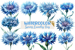 Watercolor Blue  Cornflower Clipart, an Illustration by Designworld