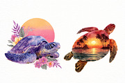 Sunset Sea Turtle Sublimation, an Illustration by Designworld (Thumbnail 5 of 6)