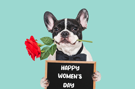 Happy Women's Day. Cute puppy and congratulatory inscription
