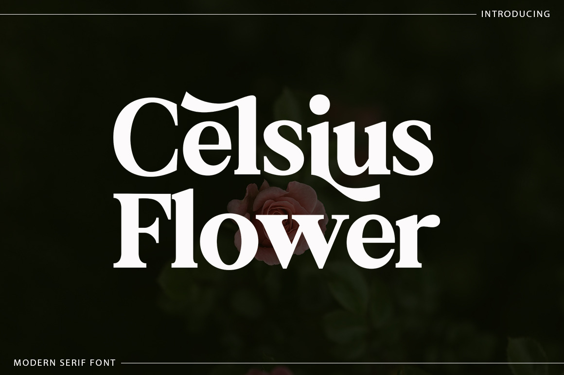 Celsius Flower by Typehill  Creative Market
