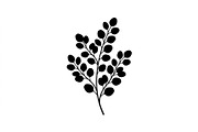 Eucalyptus Foliage Silhouette Set, an Object Graphic by Designs_River (Thumbnail 3 of 3)