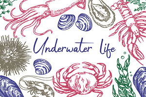Underwater life. Hand drawn sketch, a Food Illustration by made by Tanya