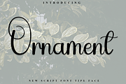 Ornament, a Handwritten Font by FreshTypeINK (Thumbnail 1 of 8)