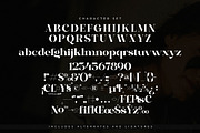 Bagife Modern Serif Font, a Serif Font by Storytype Studio (Thumbnail 13 of 15)