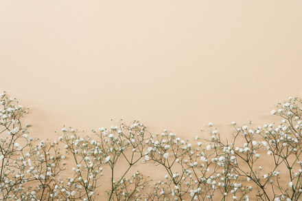 Floral composition with light, a Background Photo by Cherkas Photography
