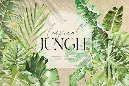 Watercolor tropical collection | Illustrations ~ Creative Market