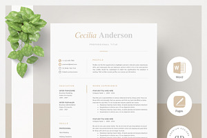 Modern 2 Page Resume Template