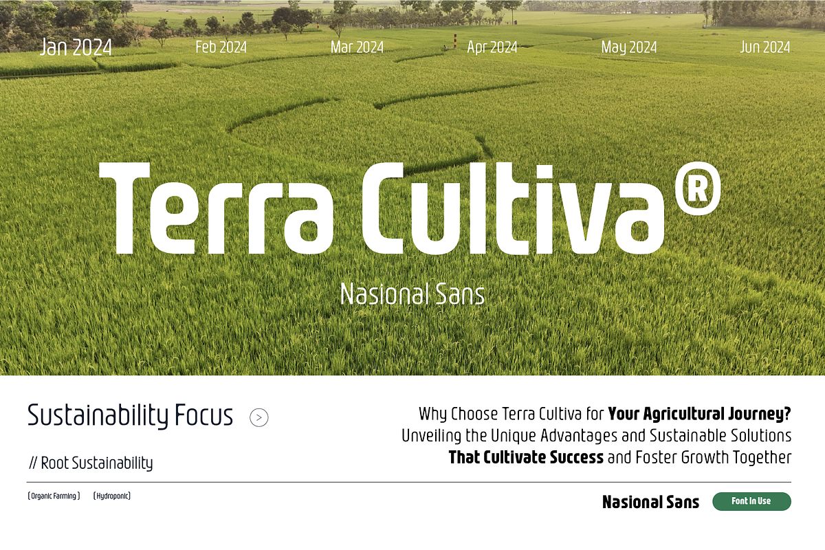 Nasional Sans, a Font by Jetsmax® Studio (Photo 10 of 10)