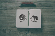 Exclusive Animals & Elements + Extra, an Animal Illustration by Creative Media Co (Thumbnail 4 of 5)