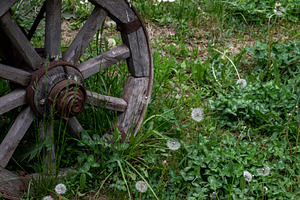Fragment of a wooden wheel, a Technology Photo by Schreibikus