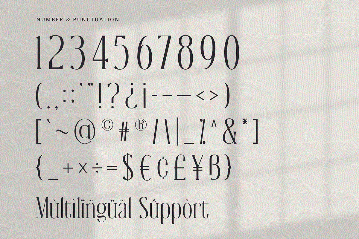 Silveridge - Serif Font, a Serif Font by Alpaprana (Photo 8 of 9)