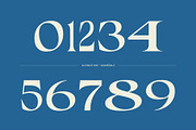 Alvinus Mix, a Serif Font by Craft Supply Co. (Thumbnail 6 of 8)