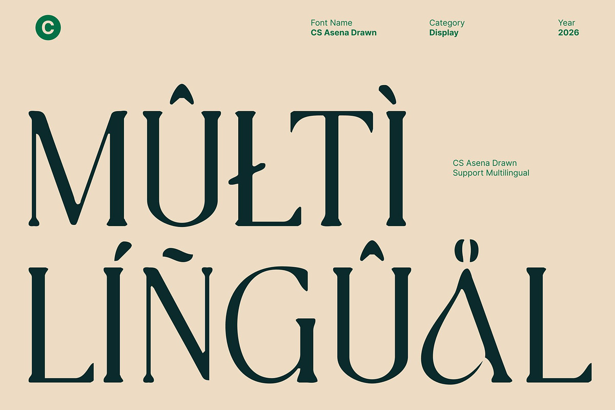 CS Asena Drawn, a Serif Font by Craft Supply Co. (Photo 6 of 8)